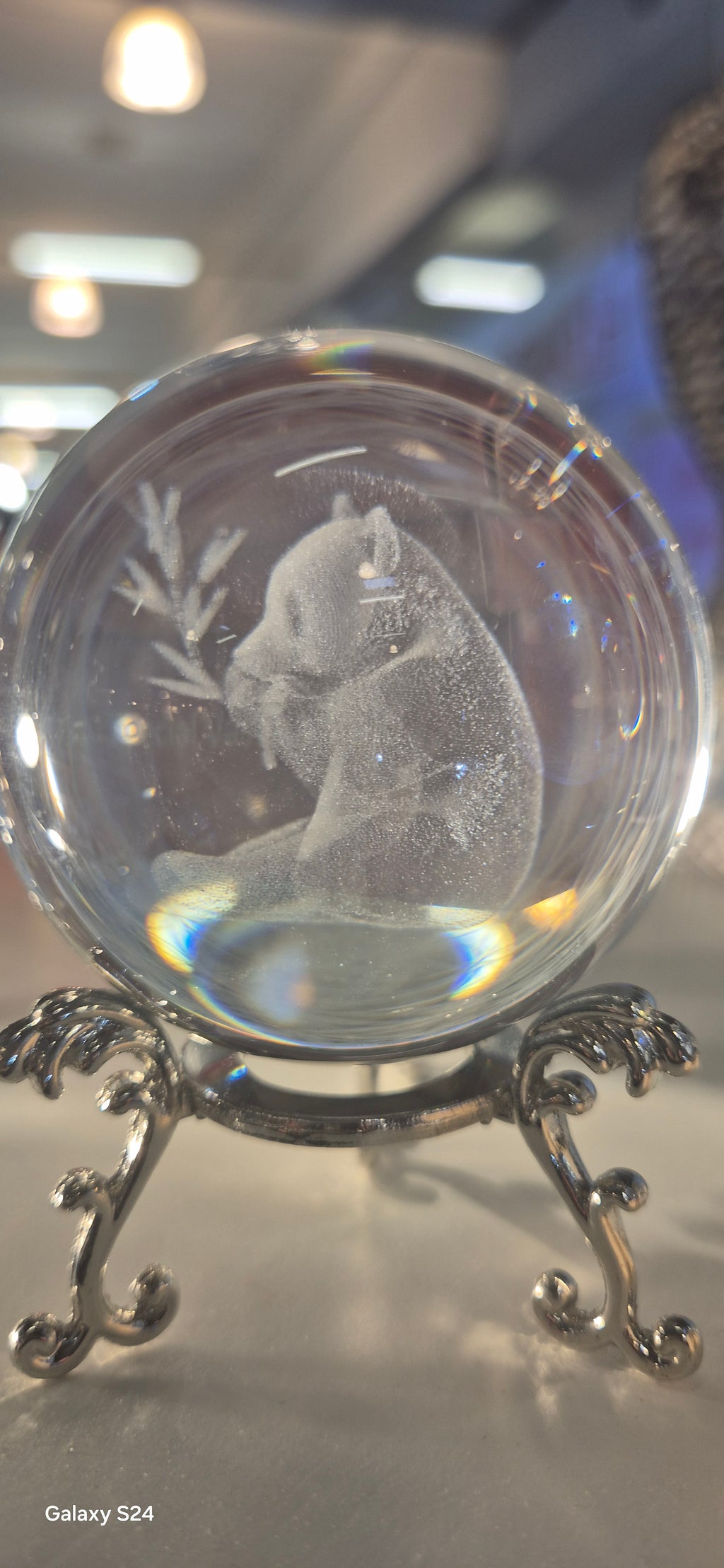 Glaskugel Panda mit Eukalyptus auf Ständer